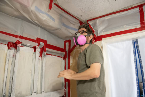 Best Residential Mold Inspection & Testing  in Forreston, IL